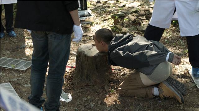 推荐五部迷雾剧场电视剧（隐秘的角落后迷雾剧场）(18)