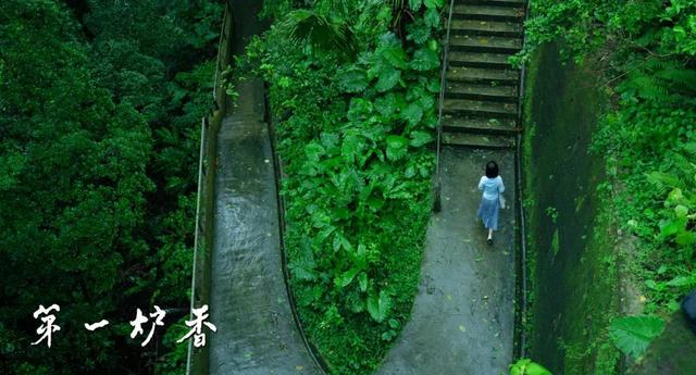 许鞍华最好的十部电影（许鞍华第一炉香威尼斯首映）(11)