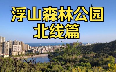 ​浮山森林公园简介（浮山森林公园详细介绍）