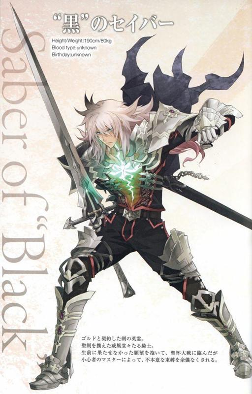 fateapocrypha对战最强英雄（Apocrypha历史人物最全介绍）(11)