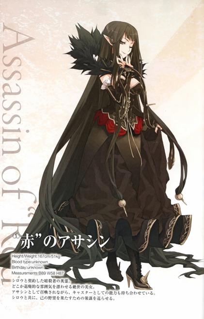 fateapocrypha对战最强英雄（Apocrypha历史人物最全介绍）(10)