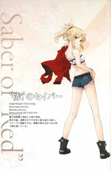 fateapocrypha对战最强英雄（Apocrypha历史人物最全介绍）(3)