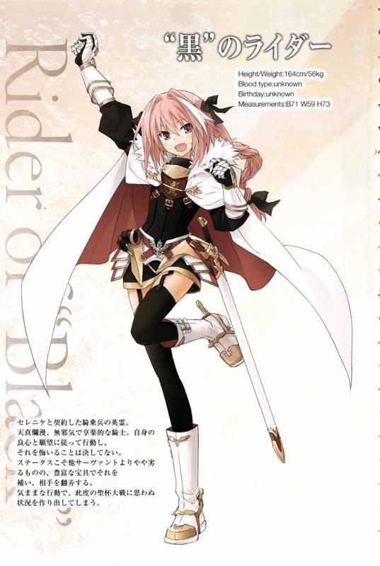 fateapocrypha对战最强英雄（Apocrypha历史人物最全介绍）(14)