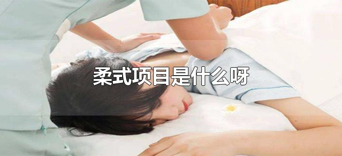 柔式项目是什么呀