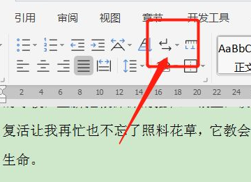 word中如何删除空白页,电脑怎么删除空白页图12