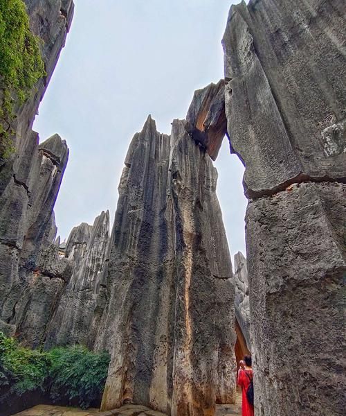 石林，山池在什么地方