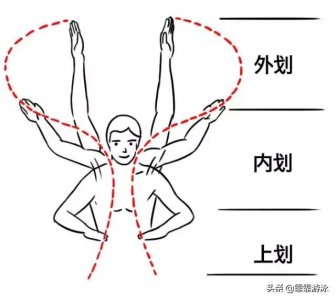 ​怎么才能学会蝶泳的正确游泳姿势（让你像蝴蝶一样飞起来）