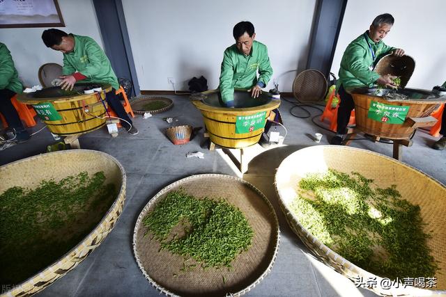 西湖龙井茶叶图解（一文了解西湖龙井）(8)