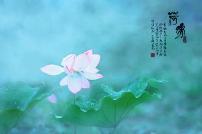 ​赞美雨后美景的诗句和名言（关于形容雨后美景16句诗词）