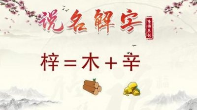 ​镔字取名寓意是什么，带金字旁的字，取名字用，寓意好一点？