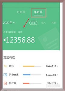 ​怎么看微信一年总账单（查看微信每年账单）