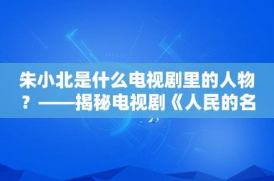 ​朱小北是什么电视剧里的人物？——揭秘电视剧《人民的名义》中的反腐斗争