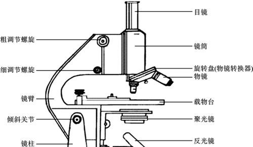 光学显微镜的两种基本使用方法