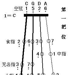 小提琴有几根，大小提琴分别有几根琴弦？图2