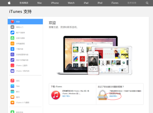 苹果手机itunes store登陆是什么意思