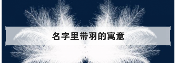 羽字取名的寓意是什么,羽在名字里的寓意是什么羽字结尾的女孩取名推荐图2