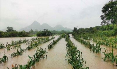 ​都江堰谁设计建造出来的（李冰父子修都江堰的历史）