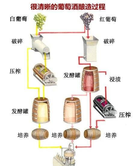 有哪些白酒是真正的纯粮酿造的呢