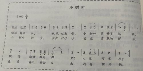 儿歌小树叶歌词(儿歌小树叶飘呀飘)-第1张图片-