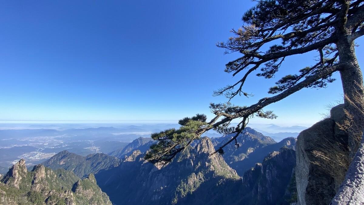 黄山的四绝是什么(黄山四绝是哪四绝)