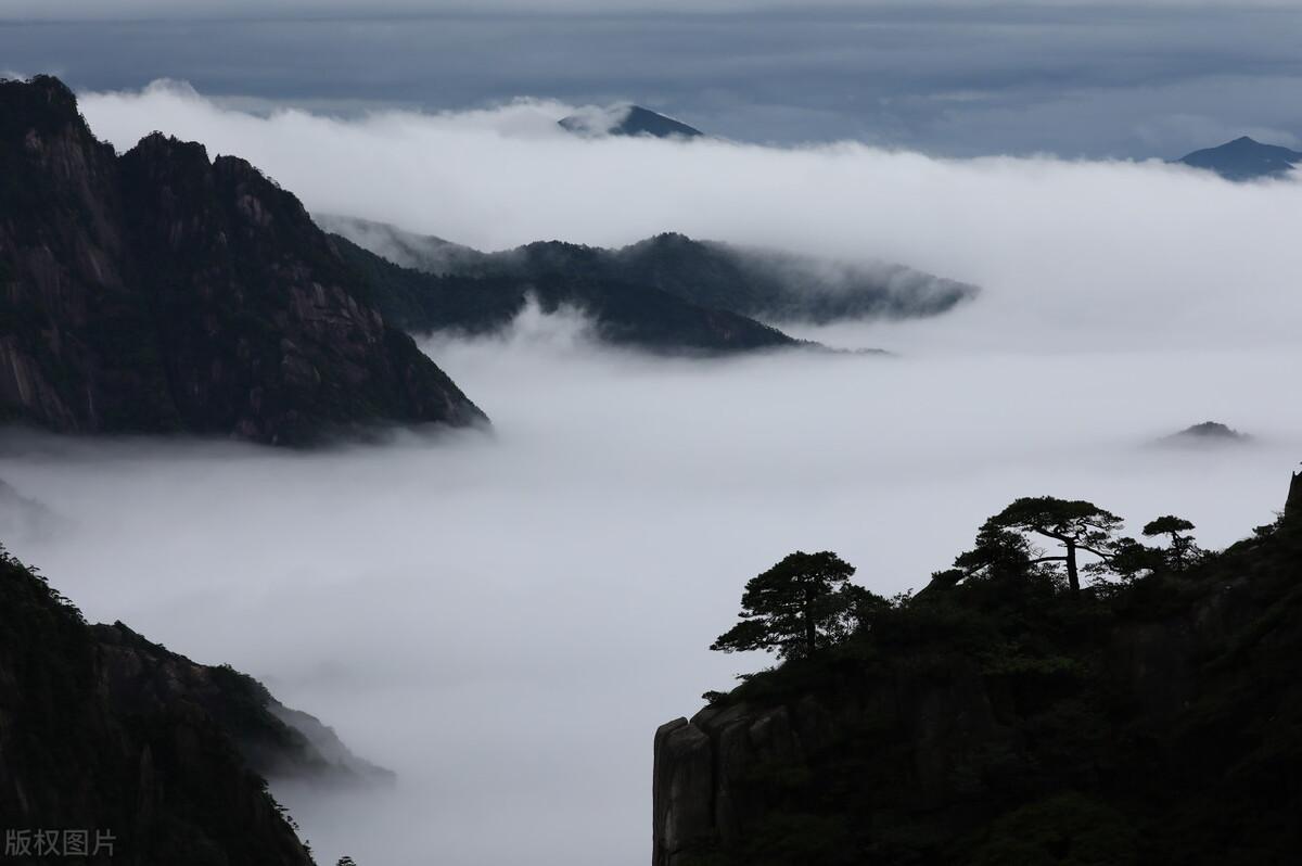 黄山的四绝是什么(黄山四绝是哪四绝)