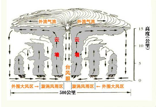 台风是怎么形成的(台风怎么命名的)