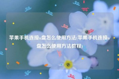 ​苹果手机连接u盘怎么使用方法(苹果手机连接u盘怎么使用方法教程)