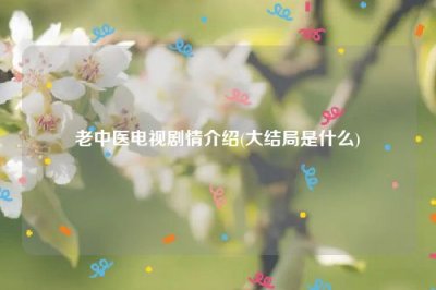 ​老中医电视剧情介绍(大结局是什么)