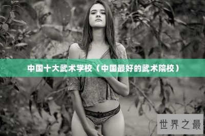 ​中国十大武术学校（中国最好的武术院校）