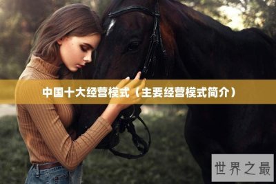 ​中国十大经营模式（主要经营模式简介）