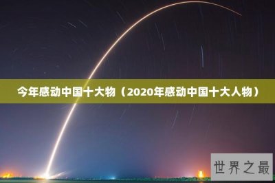 ​今年感动中国十大物（2020年感动中国十大人物）