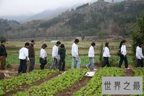 热门专业排名前十，社会竟然最需要这种人才！