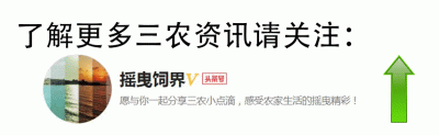 ​农村老话“女大一，不是妻；女大三，抱金砖”，你是怎么看的？