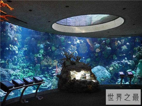 世界十大水族馆排名，盘点世界上那些著名的水族馆