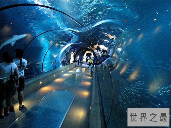 世界十大水族馆排名，盘点世界上那些著名的水族馆