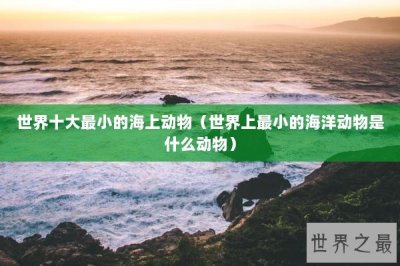 ​世界十大最小的海上动物（世界上最小的海洋动物是什么动物）