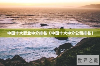 ​中国十大职业中介排名（中国十大中介公司排名）