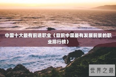 ​中国十大最有前途职业（目前中国最有发展前景的职业排行榜）