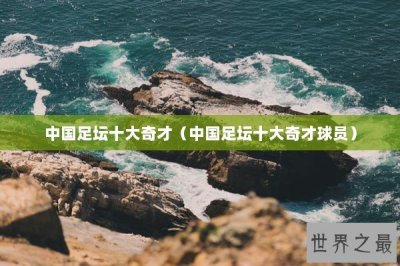 ​中国足坛十大奇才（中国足坛十大奇才球员）