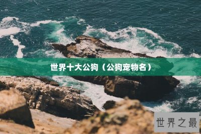 ​世界十大公狗（公狗宠物名）