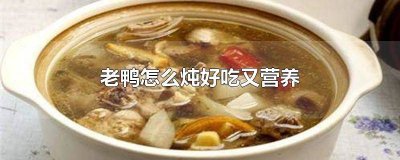 ​老鸭用什么炖好 老鸭用什么炖最有营养