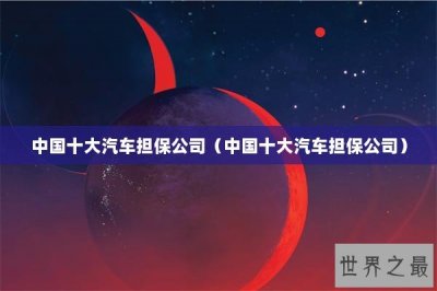 ​中国十大汽车担保公司（中国十大汽车担保公司）