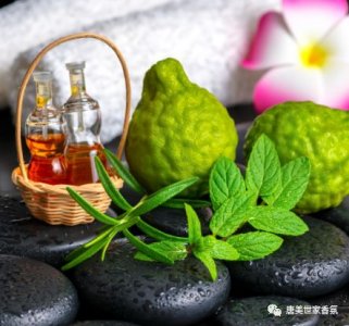 ​佛手柑精油的作用是什么（佛手柑精油的作用）