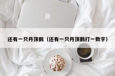 ​还有一只丹顶鹤（还有一只丹顶鹤打一数字）