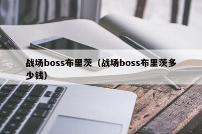 ​战场boss布里茨（战场boss布里茨多少钱）