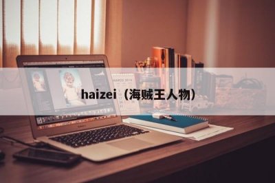 ​haizei（海贼王人物）