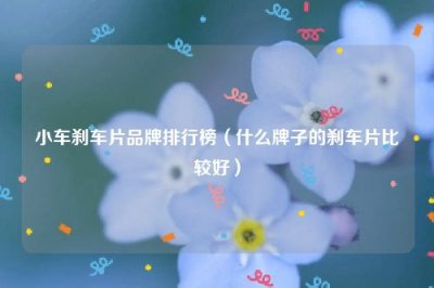 ​小车刹车片品牌排行榜（什么牌子的刹车片比较好）