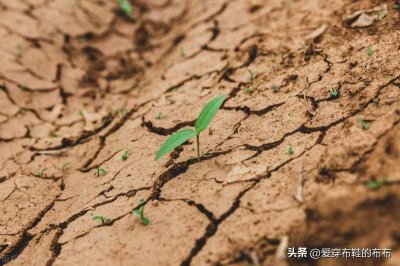 ​干涸地(干涸的土地上发生的事情)