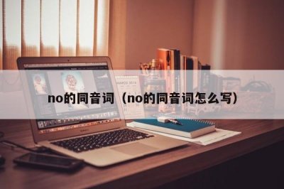 ​no的同音词（no的同音词怎么写）