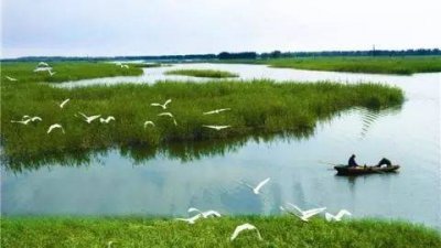 ​湿地地理知识考点 湿地地理知识点